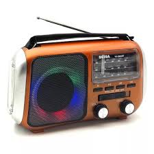 Radio - Parlante Bluetooth - Am / Fm - Sd - Pendrive - Sw - Recargable  YX-308UBT